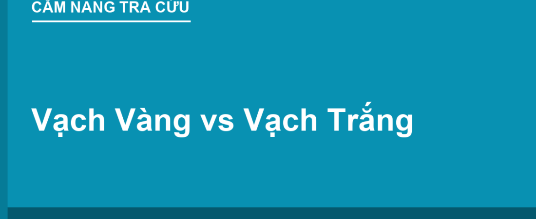 Vạch Vàng vs Vạch Trắng: Bảng Phân Biệt 1 Phút