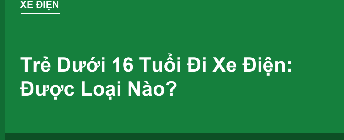 Trẻ Dưới 16 Tuổi Đi Xe Điện: Được Đi Loại Nào, Cấm Loại Nào?