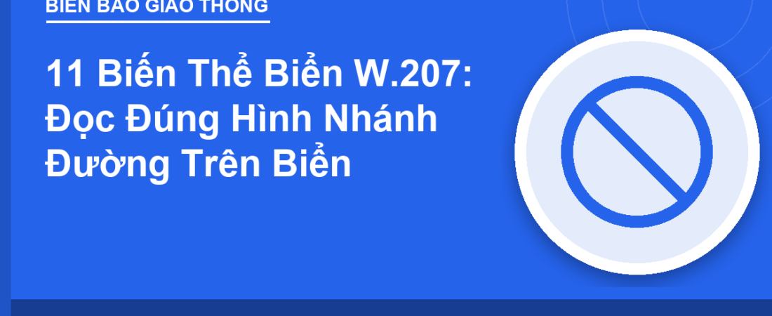 11 Biến Thể Biển W.207: Đọc Đúng Hình Nhánh Đường Trên Biển