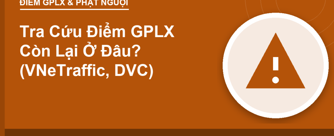 Tra Cứu Điểm GPLX Còn Lại Ở Đâu? (VNeTraffic, DVC)