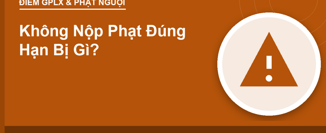 Không Nộp Phạt Đúng Hạn Bị Gì?